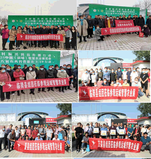 歷屆中國(guó)(運(yùn)城)智慧農(nóng)業(yè)展覽會(huì)現(xiàn)場(chǎng)組團(tuán)參觀